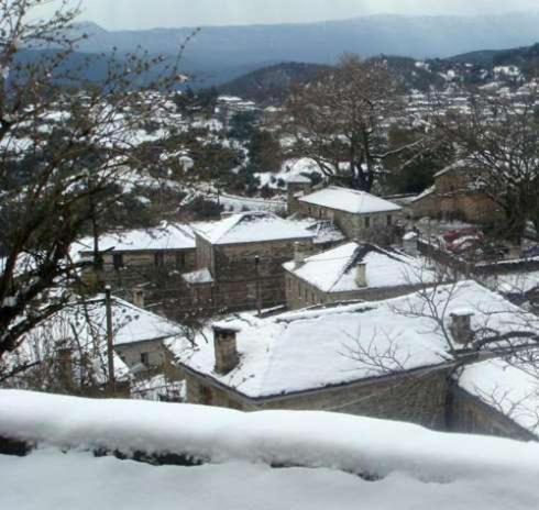 Traditional Guesthouse Alkistis Zagori Exterior photo